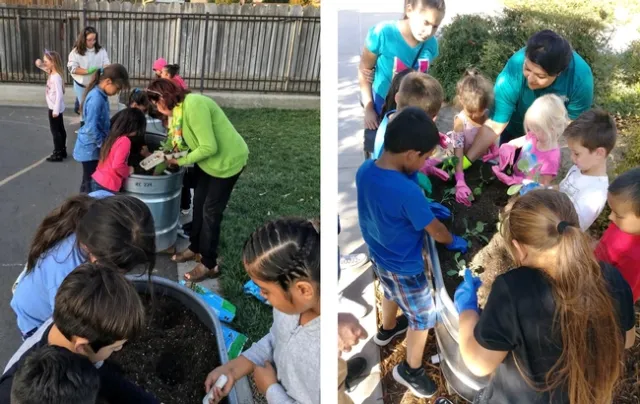 Planting day at the Ceres school farm.