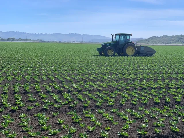 Photo 2. Stout autoweeder which attaches to the tractor with a standard 3-point hitch and uses split knives.