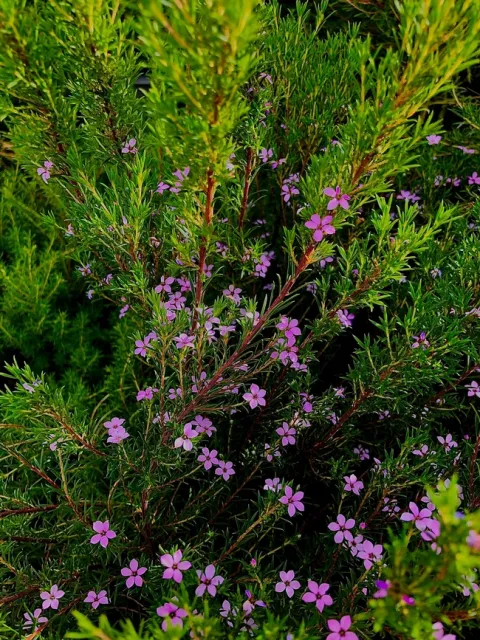 Photo by Ardis Neilsen