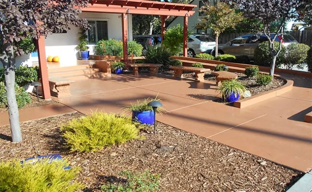 Mulches can help to save water. Photo by John Karlik.