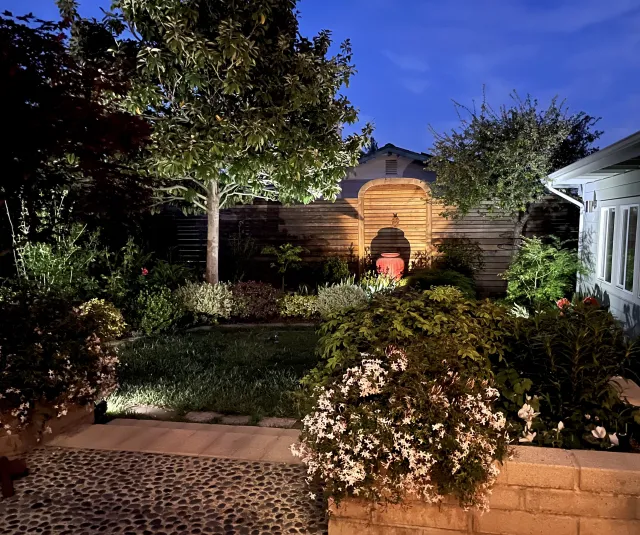 Garden view with colors