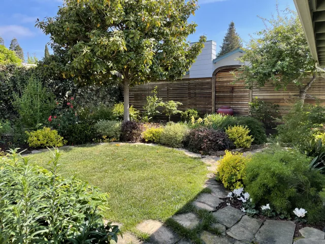 Garden view - Choose taller plants for the background, they will frame the planting area and create depth. Adding interest with a variety