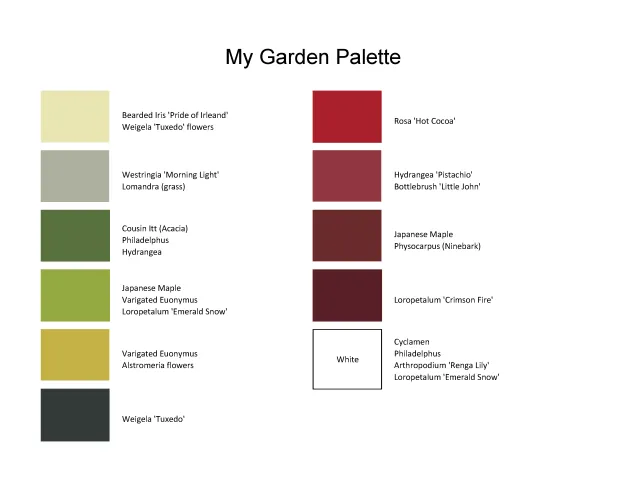 A painter's palette or colors