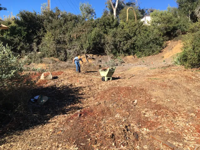 A student worker helps spread mulch and prepare the research site at San Diego Botanic Garden, 2018.