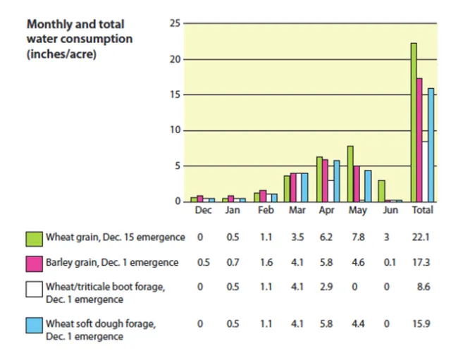Average Wheat Water Consumption