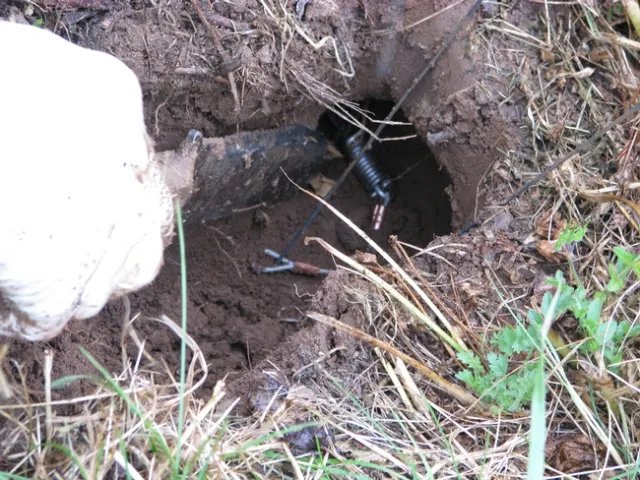 Traps are an important tool for rodent management on organic farms, but integrating traps with other tools are necessary for effective management, according to the authors.