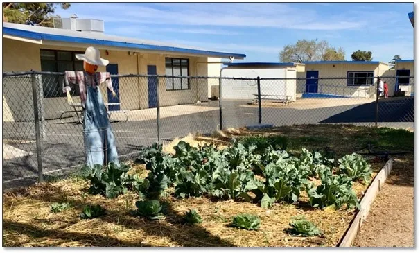 The Phelan Elementary School Garden