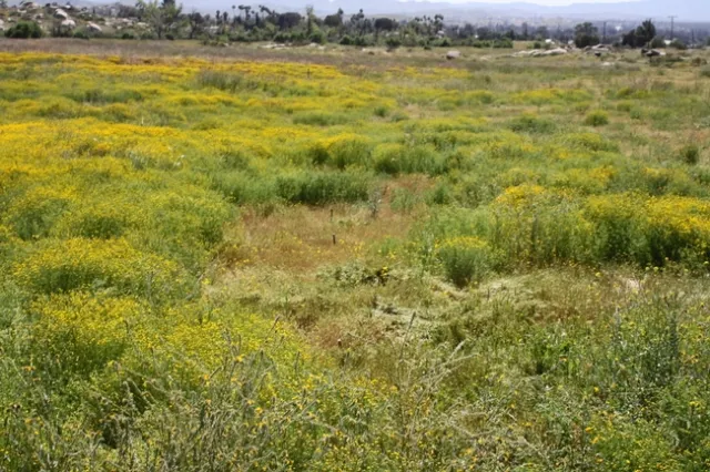 9E1DCF9A-9583-4F33-BFB8-DA23ADBD47A6 1 105 c