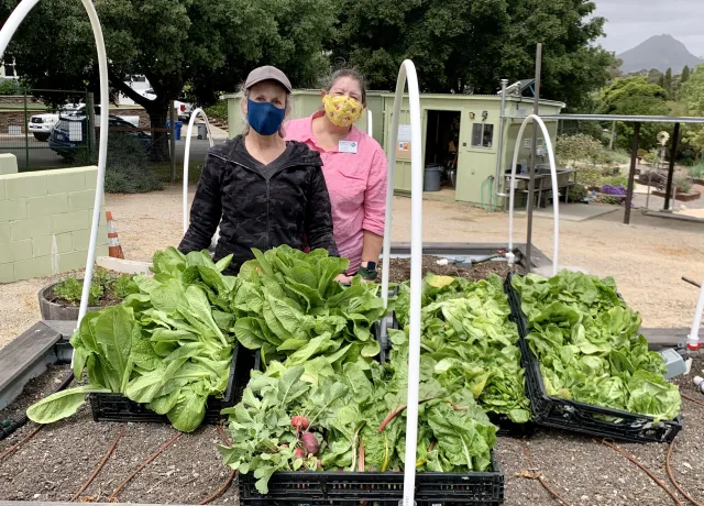 Aliza and Lisa_May harvest