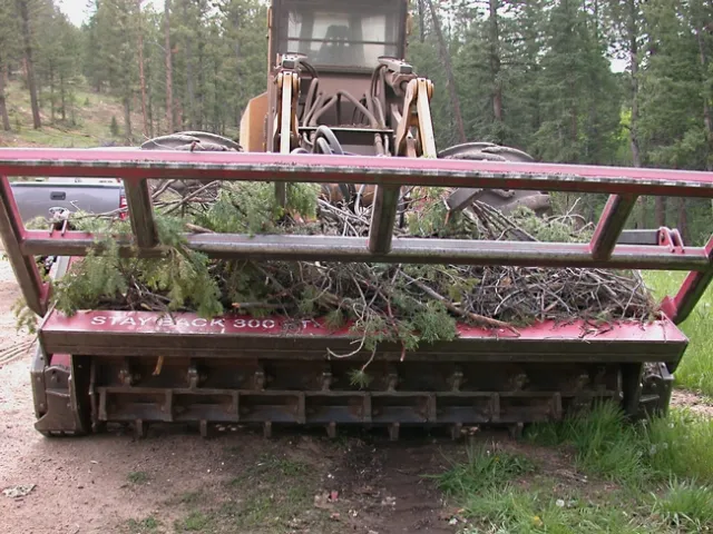 Mastication, mechanically chewing up brush and branches - can thin brush and trees. (Photo: Michael Bataglia)