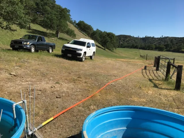 Figure 5. Portable water troughs with floats are connected to the permanent water line with orange HDPE hose.