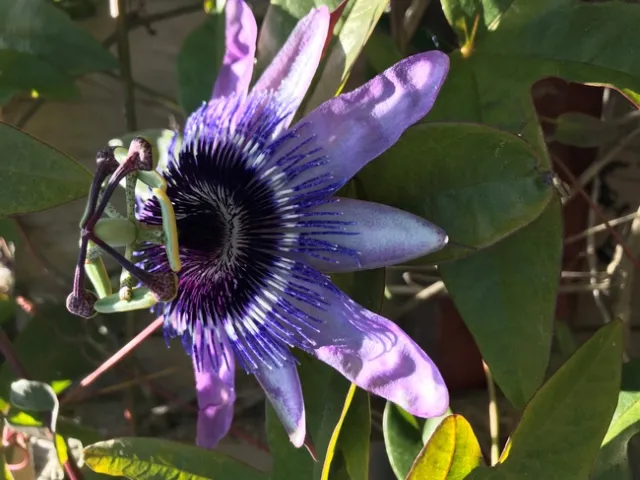 Photo by Andrea Peck