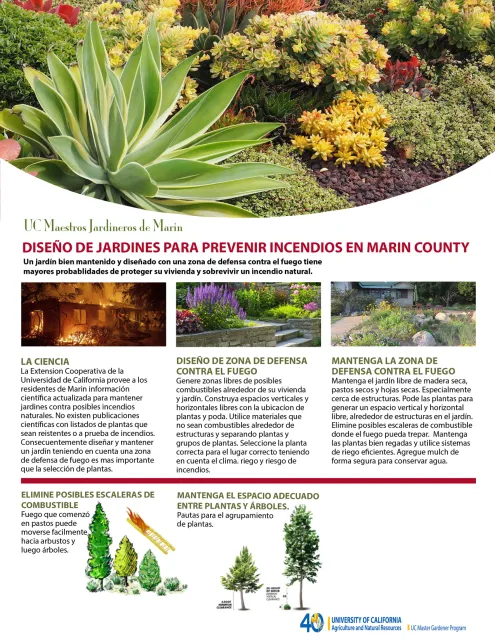 Fire Smart Spanish_front