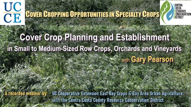 2VideoCoverSlide-Pearson