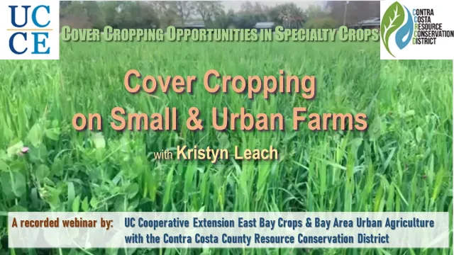 3VideoCoverSlide-Leach