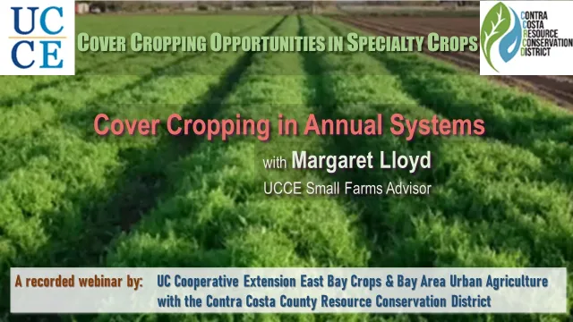 4VideoCoverSlide-Lloyd