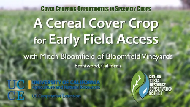 BloomfieldCvrCrp-Cover2