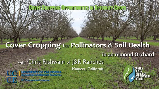 J&RR-CoverCrop-Final(5-2)-thumbnail