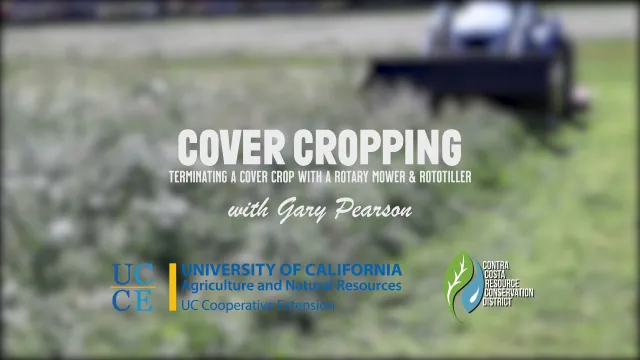 Pearson-CoverCrop-Cover1
