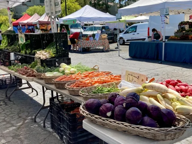 Tables topped with baskets of red cabbage, green beans, orange carrots and other green vegetables.