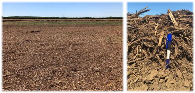 2021-8-6 WOR article Fig 1