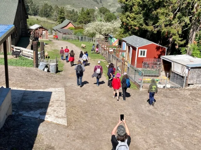 A group of children walk down a dirt path between livestock pens.