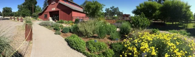 All-Star Garden at Master Gardeners Demonstration Garden at Patrick Ranch, Laura Kling