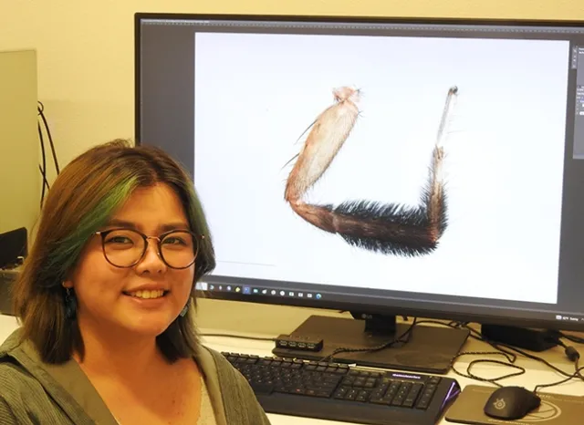 Megan Ma of the Jason Bond lab with her digital image of a wolf spider leg (male first leg with ornamentation, coloration and brush for attracting females). The digital image is of a microCT reconstruction of internal millipede musculature. (Photo by Kathy Keatley Garvey)
