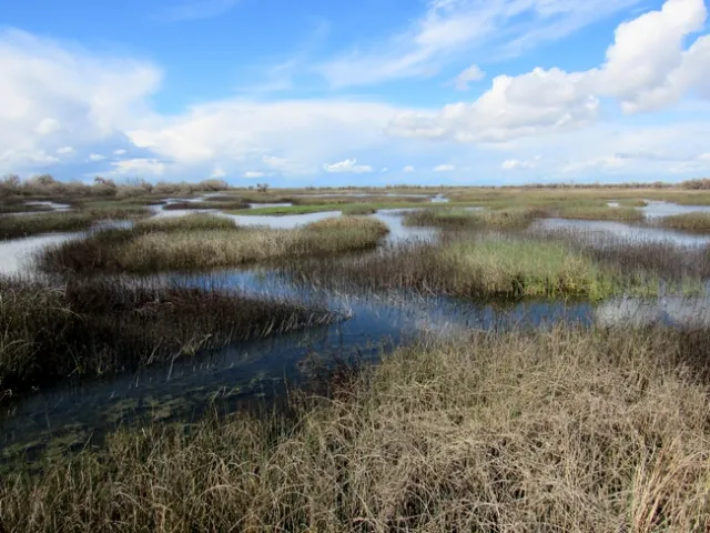 Siera Nystrom UC Merced VPGR CA Biodiversity Day pic