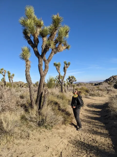 PXL 20210211 161554577