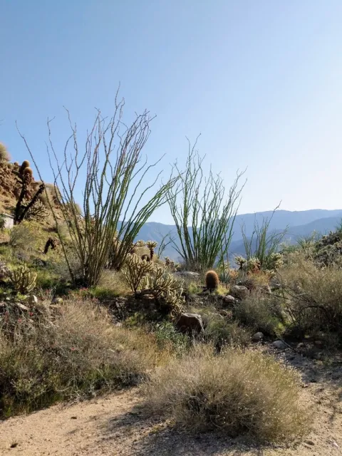 PXL 20210227 234049176