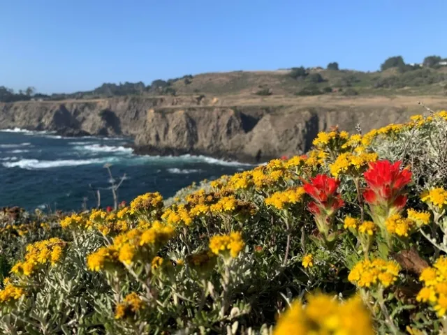 Adina Merenlender CA Biodiversity Day pic