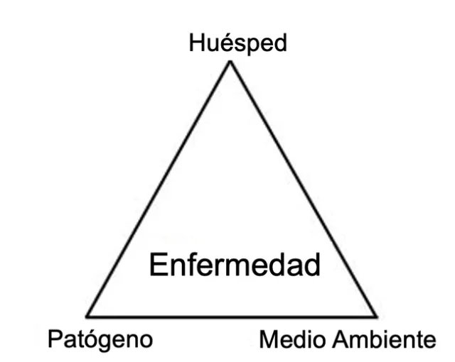 Disease Triangle spanish