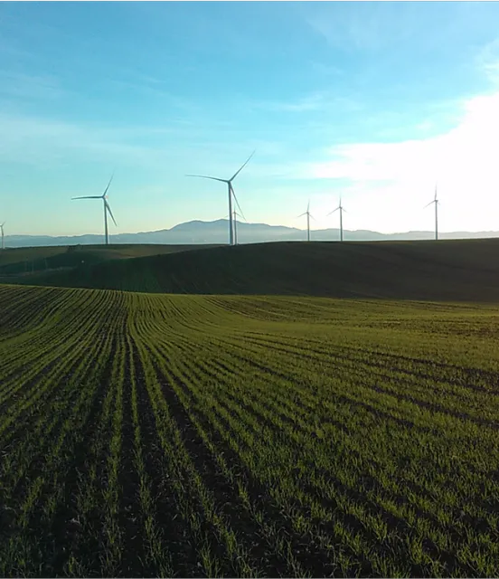 Wheat trials using biosolids in Rio Vista