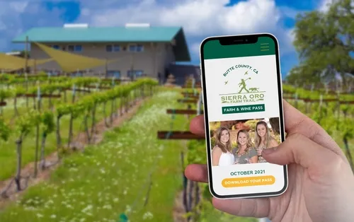 220512025 4544876802197430 5201270013013352840 n