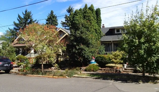 Healthy green trees line a residential street.