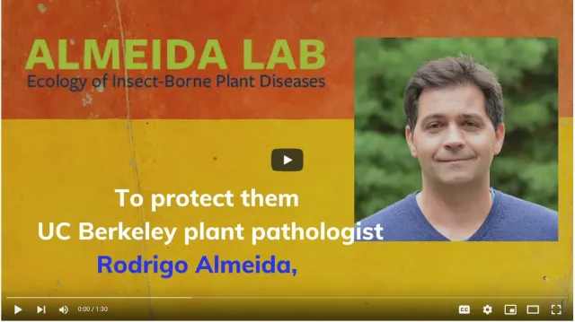 Screen Shot 2021-10-13 at 3.04.40 PM