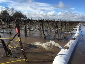 IMG_1916_Groundwater Dahlke_1_