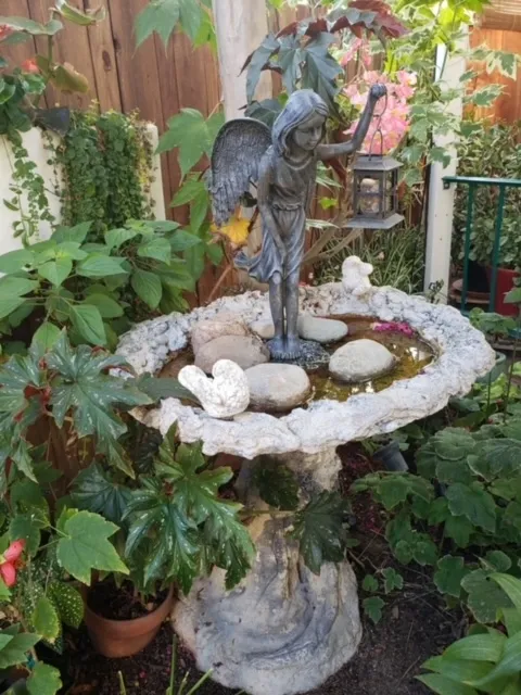 photos by Launa Herrmann