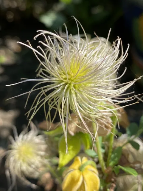 photos by Erin Mahaney