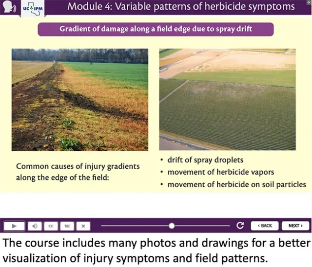 Screen from the course, Module 4, Variable Patterns of Herbicide Symptoms. Screen depicts gradients of damage along a field edge due to spray drift. Text on screen: Common causes of injury gradients along the edge of the field: drift of spray droplets, movement of herbicide vapors, movement of herbicide on soil particles. Two images depict crop injury (discoloration) at the edge of the field.