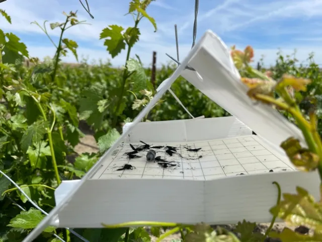 WGLS monitoring with lures-Surendra Dara