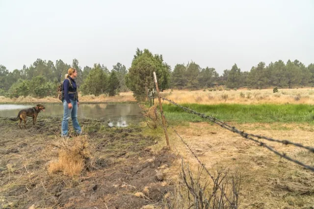 Laura Snell and her dog Zuri inspect a fence line