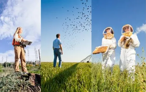 UCANR banner collage 3 pic