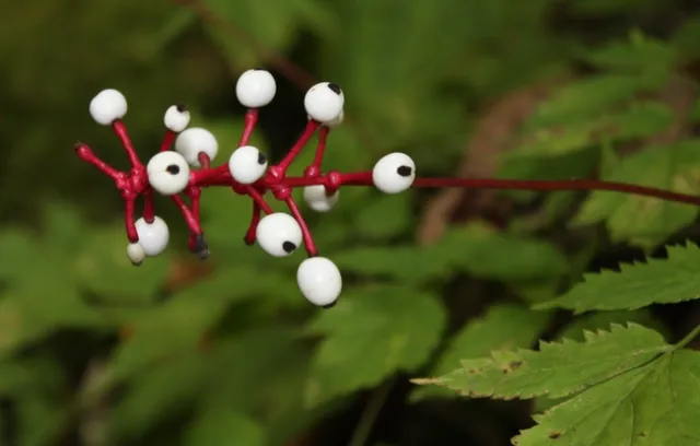 3324299100 175dd3af02 3k