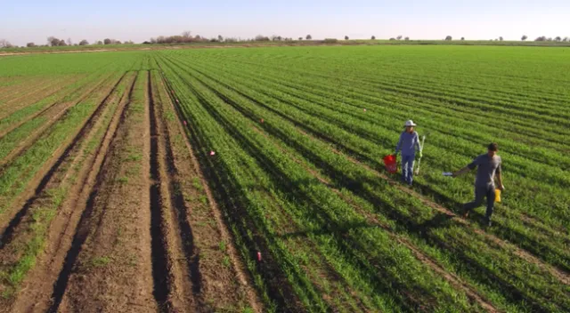 In field demonstration 2