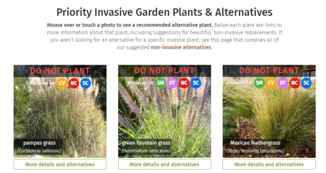https://plantright.org/ has a great interactive site to find alternatives to garden thugs.