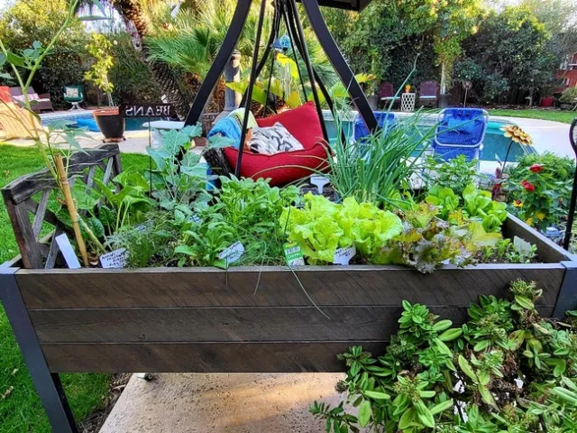 Outdoor Salad Bar - photos by Al Alvarado