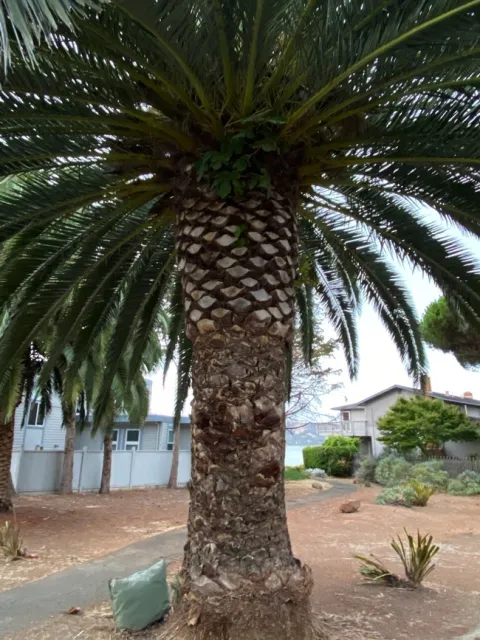 photos by Erin Mahaney