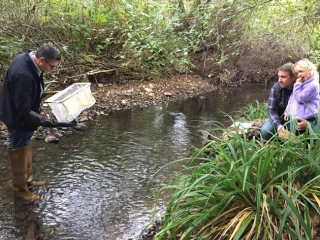Igor Lacan looks into a net while standing in a stream.